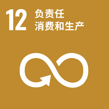 联合国可持续发展目标 12 官方图标