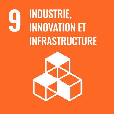 Icône officielle de l'objectif de développement durable 9 des Nations Unies