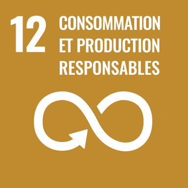 Icône officielle de l'objectif de développement durable 12 des Nations Unies